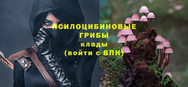 соль курить ск Арсеньев