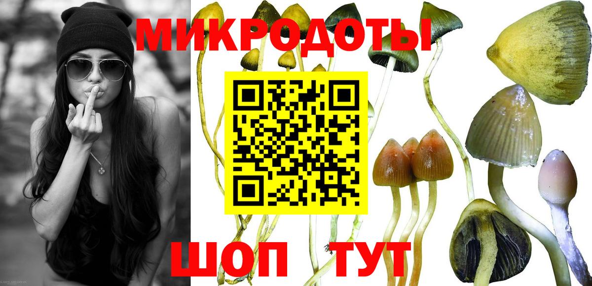 Галлюциногенные грибы Psilocybine cubensis Фролово