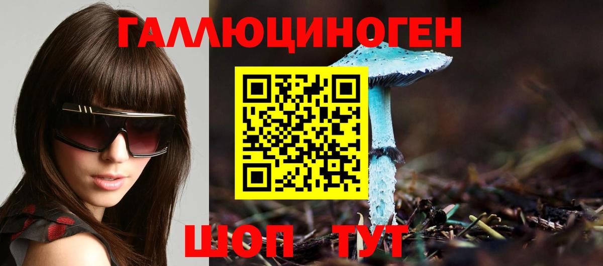 Фролово  что такое наркотик  Вход с VPN  Псилоцибиновые грибы прущие грибы 